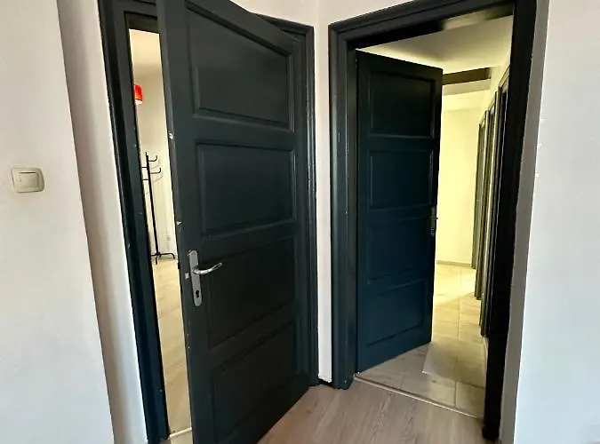 Downtown Delight By Lmg Sofia